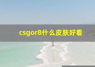 csgor8什么皮肤好看