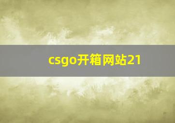 csgo开箱网站21