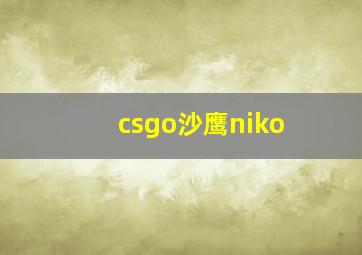 csgo沙鹰niko