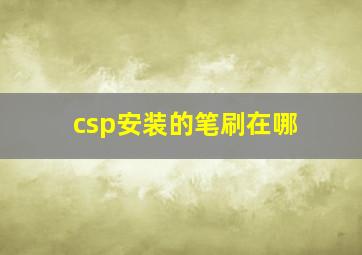 csp安装的笔刷在哪