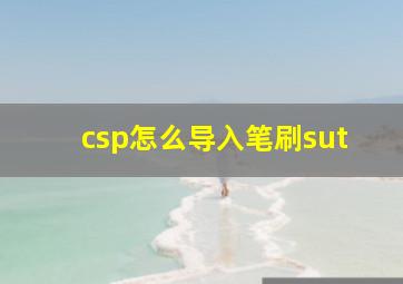 csp怎么导入笔刷sut