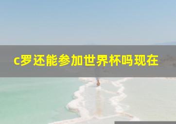 c罗还能参加世界杯吗现在