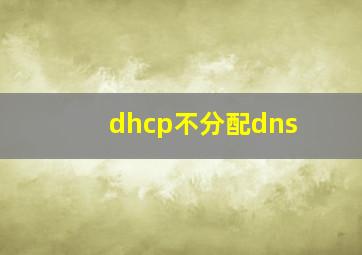 dhcp不分配dns