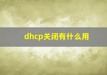 dhcp关闭有什么用