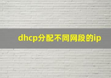 dhcp分配不同网段的ip