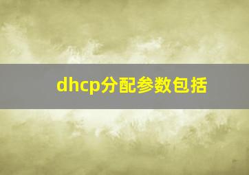 dhcp分配参数包括