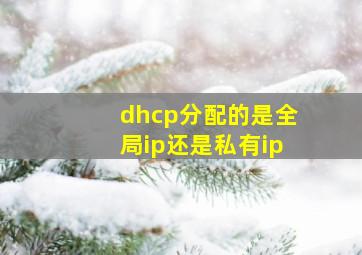 dhcp分配的是全局ip还是私有ip