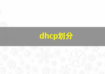 dhcp划分