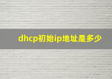 dhcp初始ip地址是多少