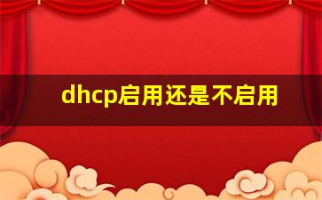 dhcp启用还是不启用