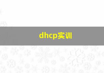 dhcp实训