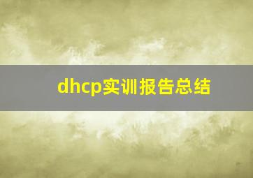 dhcp实训报告总结