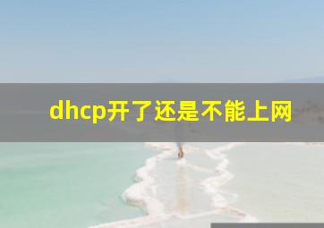 dhcp开了还是不能上网