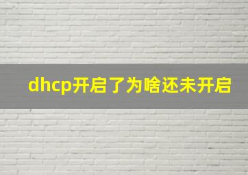 dhcp开启了为啥还未开启