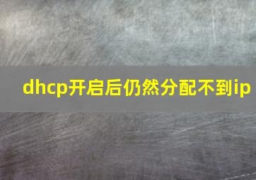 dhcp开启后仍然分配不到ip