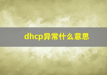 dhcp异常什么意思