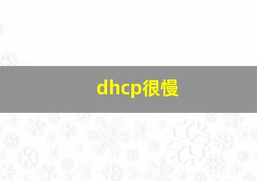 dhcp很慢