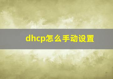 dhcp怎么手动设置