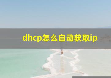 dhcp怎么自动获取ip