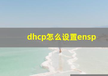 dhcp怎么设置ensp