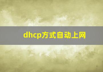 dhcp方式自动上网