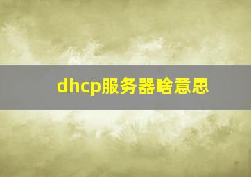 dhcp服务器啥意思