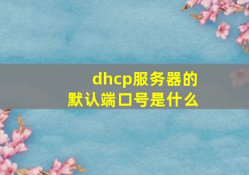 dhcp服务器的默认端口号是什么