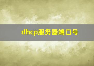 dhcp服务器端口号