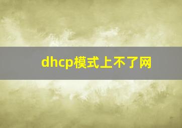 dhcp模式上不了网