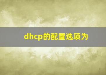 dhcp的配置选项为