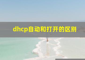 dhcp自动和打开的区别