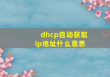 dhcp自动获取ip地址什么意思