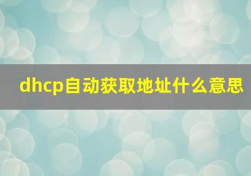 dhcp自动获取地址什么意思