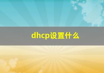 dhcp设置什么