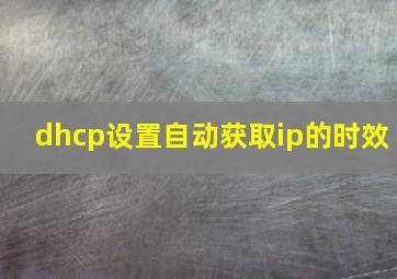 dhcp设置自动获取ip的时效