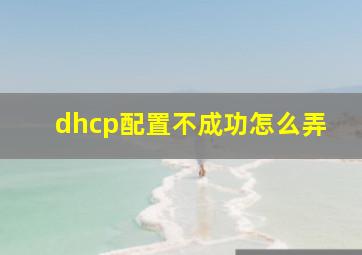 dhcp配置不成功怎么弄