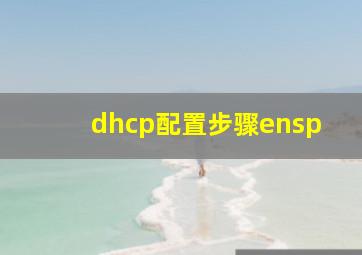 dhcp配置步骤ensp