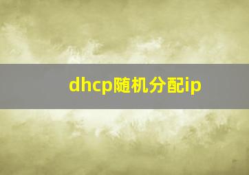 dhcp随机分配ip