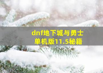 dnf地下城与勇士单机版11.5秘籍