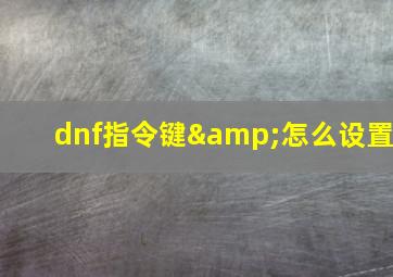 dnf指令键&怎么设置