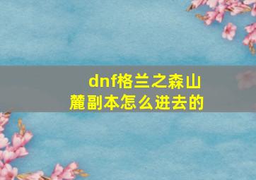 dnf格兰之森山麓副本怎么进去的