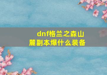 dnf格兰之森山麓副本爆什么装备