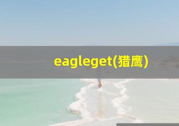 eagleget(猎鹰)