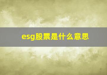 esg股票是什么意思