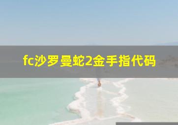 fc沙罗曼蛇2金手指代码