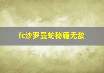 fc沙罗曼蛇秘籍无敌