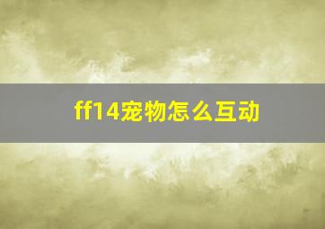 ff14宠物怎么互动