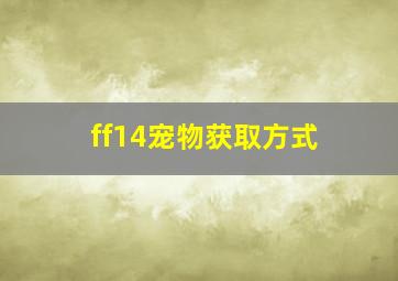 ff14宠物获取方式