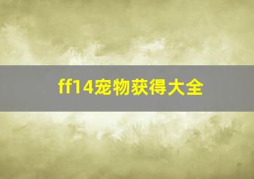 ff14宠物获得大全