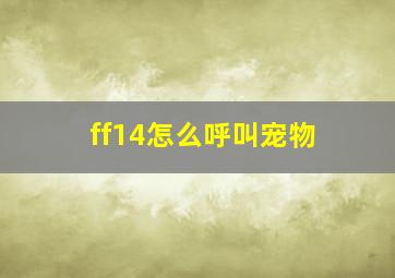 ff14怎么呼叫宠物